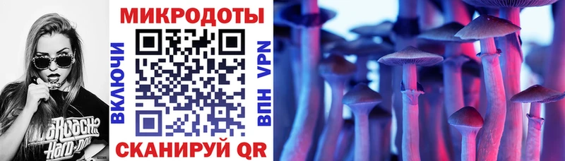 Галлюциногенные грибы ЛСД Зима