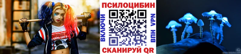 Псилоцибиновые грибы мухоморы  KRAKEN ссылки  Зима 