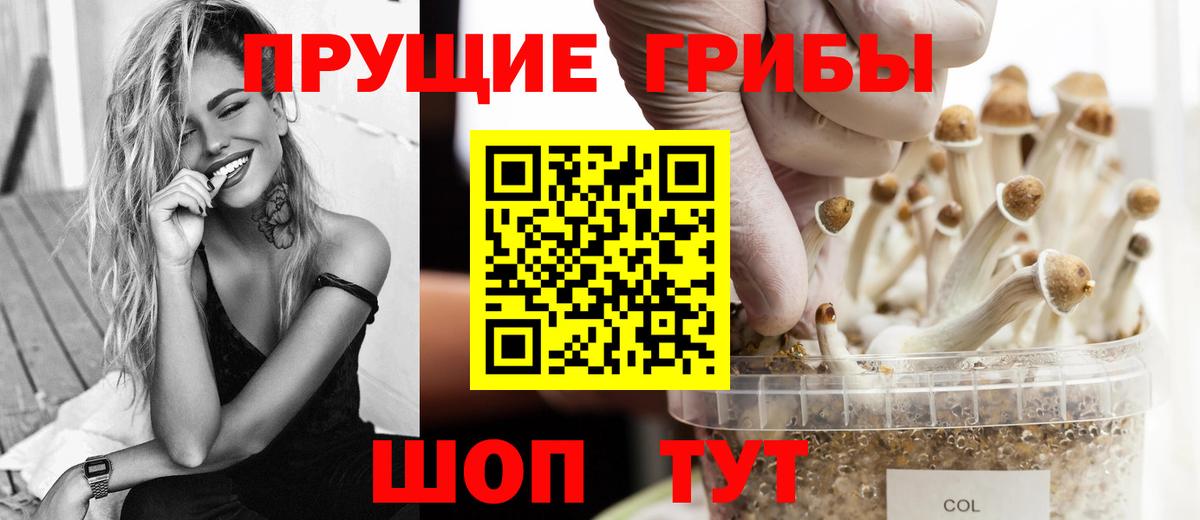 Галлюциногенные грибы Magic Shrooms  Вход с VPN  Зима 