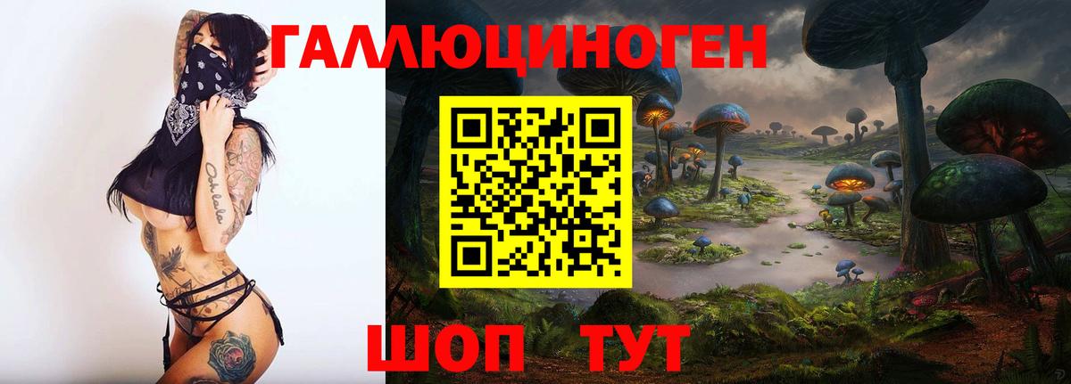 Галлюциногенные грибы прущие грибы Зима