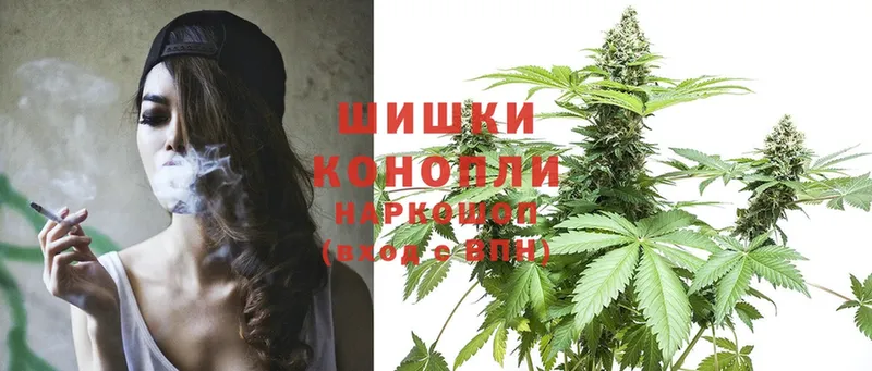 Конопля SATIVA & INDICA  Зима 